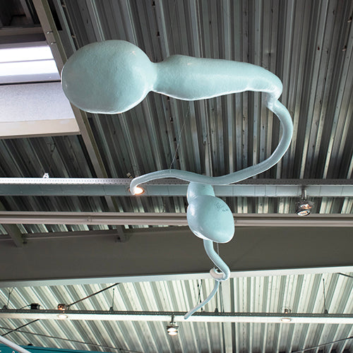 Atelier van Lieshout zaadcellen
