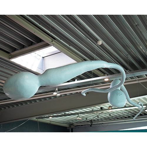Atelier van Lieshout zaadcellen