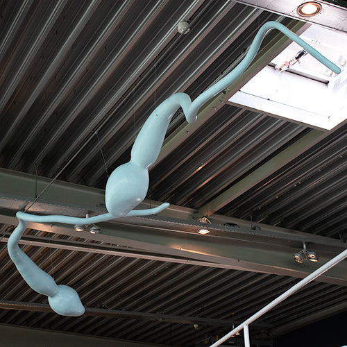 Atelier van Lieshout zaadcellen