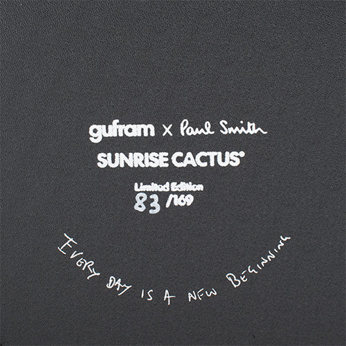 Gufram Cactus Sunrise kapstok gekleurd