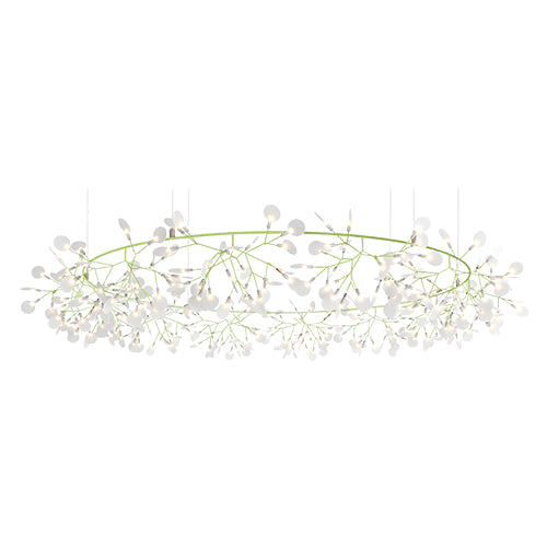 Heracleum Big O groen