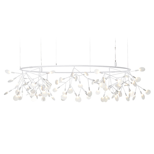 Heracleum Small Big O wit