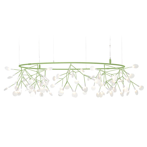 Heracleum Small Big O groen
