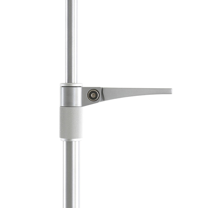 Luceplan Lady Costanza vloerlamp aluminium