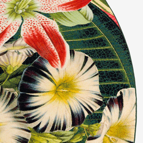 Moooi Carpets Extinctie plants vloerkleed meerkleurig