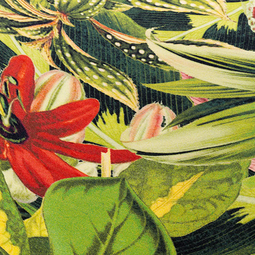 Moooi Carpets Extinct Plants Herbarium vloerkleed groen
