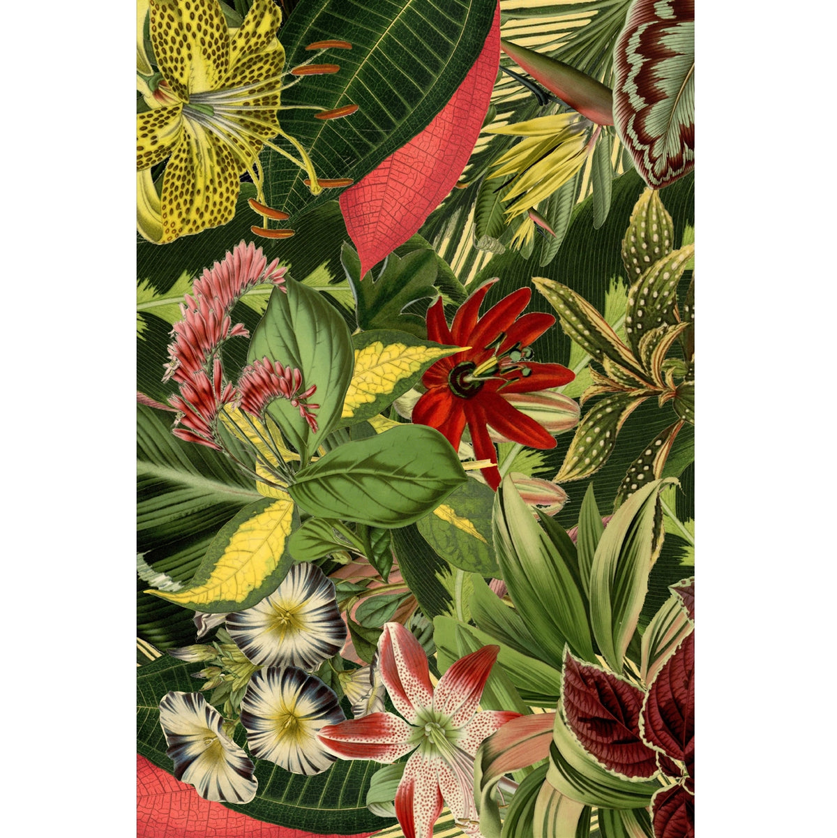 Moooi Carpets Herbarium Of Extinct Plants vloerkleed groen