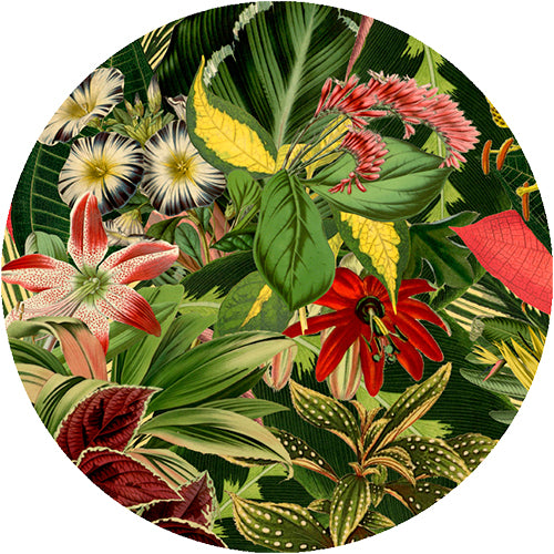 Moooi Carpets Herbarium of extinct plants vloerkleed groen