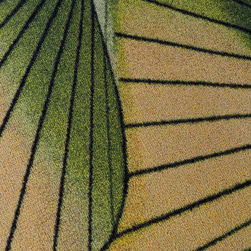 mc serpentine green yellow 5 carpet