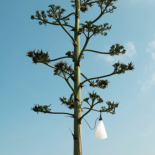 Flos mayday outdoor