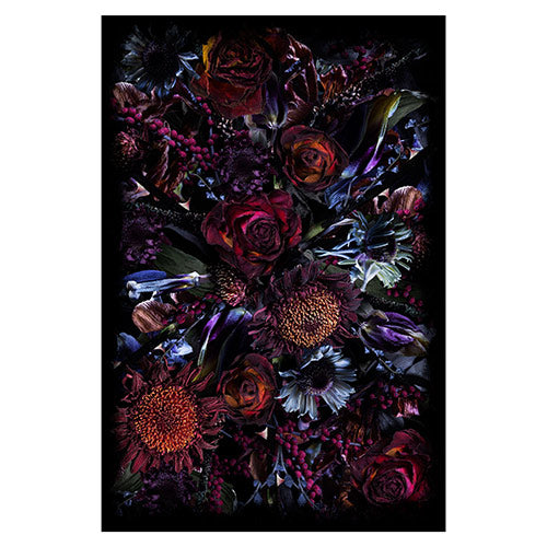 moooi carpets fools vloerkleed paars