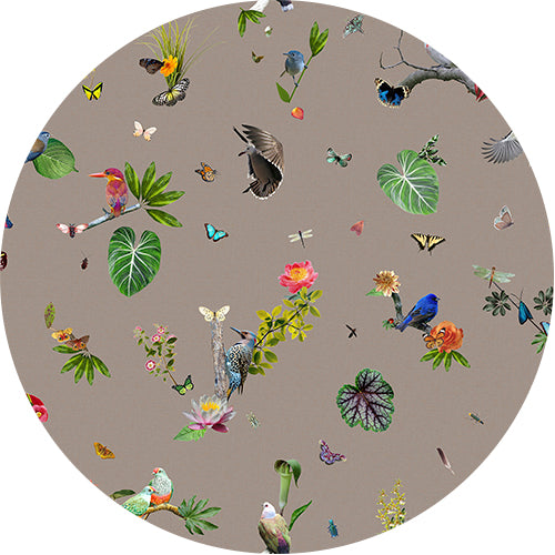 Moooi Carpets Bird vloerkleed grijs