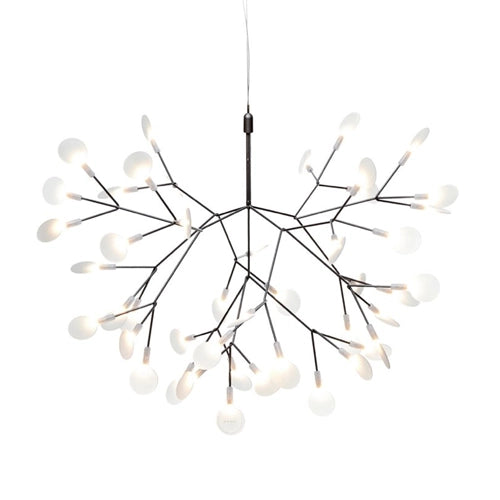 Heracleum small nikkel