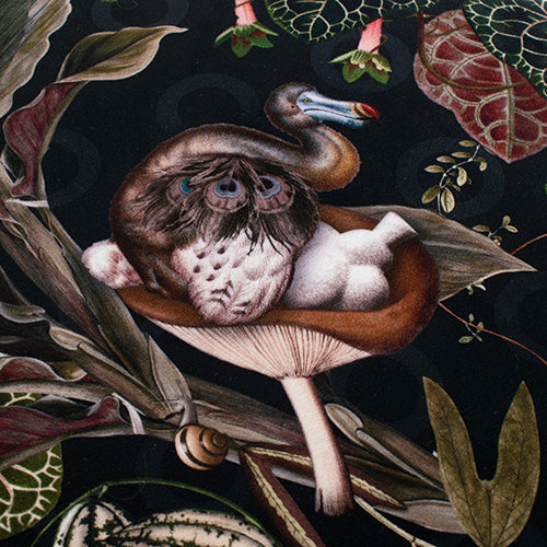 Moooi Pooof Menagerie of Extinct Animals Raven zitpoef zwart