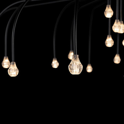 Moooi Starfall hanglamp zwart