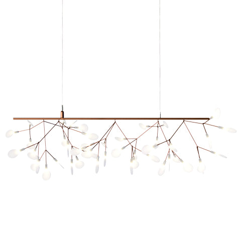 Heracleum Endless koper