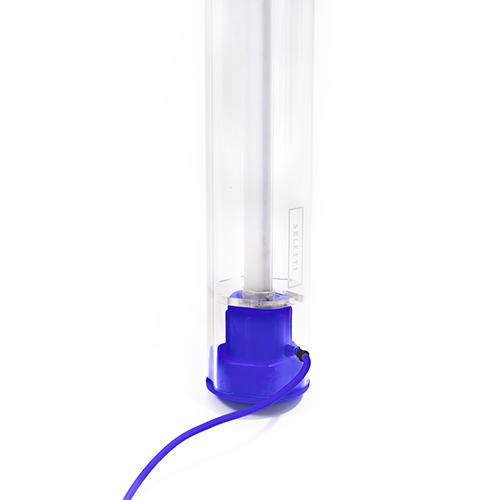 BIC lamp