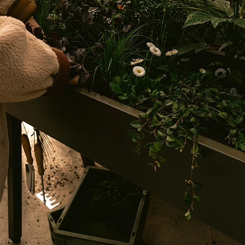 Weltevree Gardenworks groen