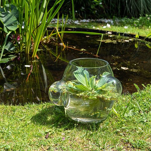 weltevree local habitat vaas glas