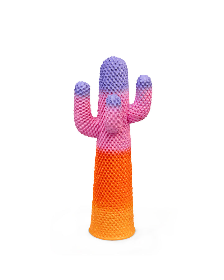 Guframini sunrise miniatuur paars roze oranje geel