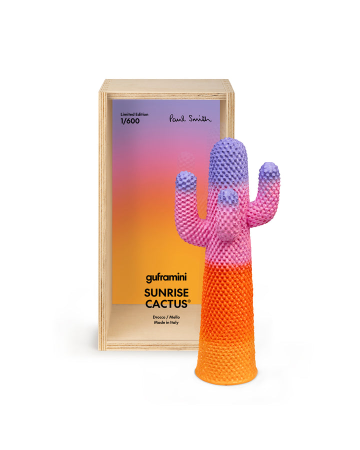 Guframini Sunrise Cactus Paul Smith miniatuur meerkleurig