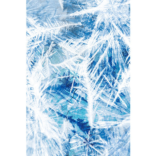 moooi carpets frozen vloerkleed blauw