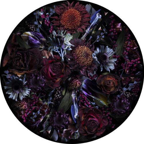 Moooi Carpets Fools paradise paars vloerkleed