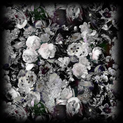 Moooi Carpets Eden queen vloerkleed zwart wit