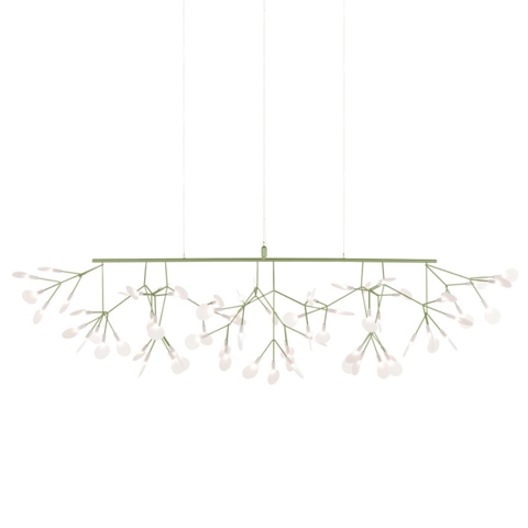 Heracleum linear groen