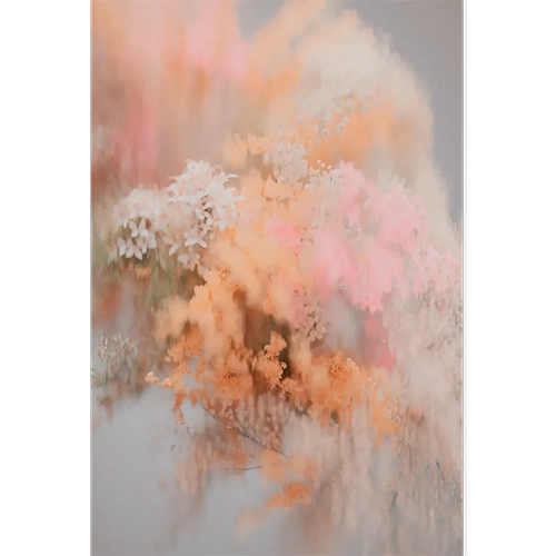 Moooi Carpets Zomer Pollen vloerkleed roze oranje